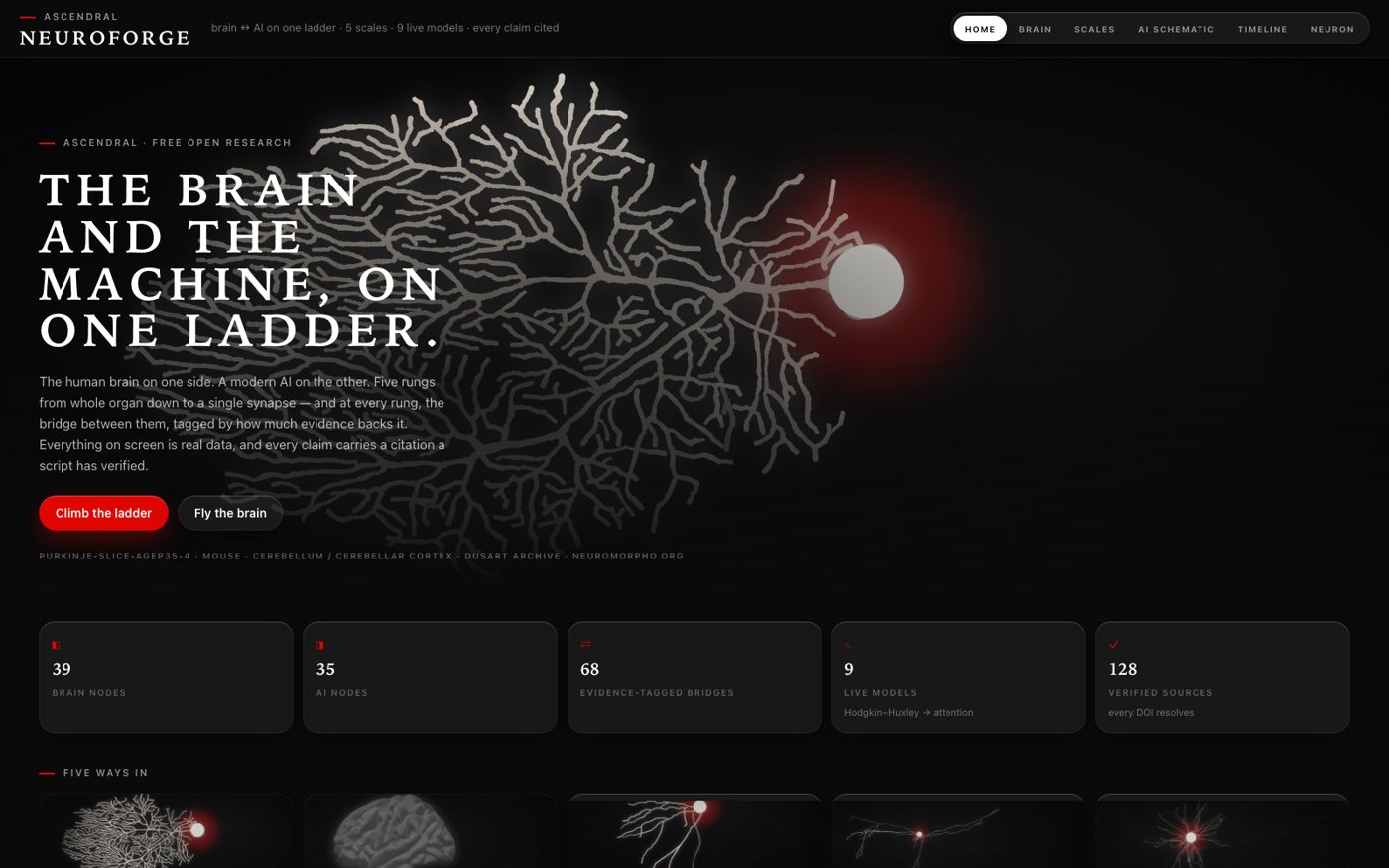NeuroForge: the brain and the machine on one ladder